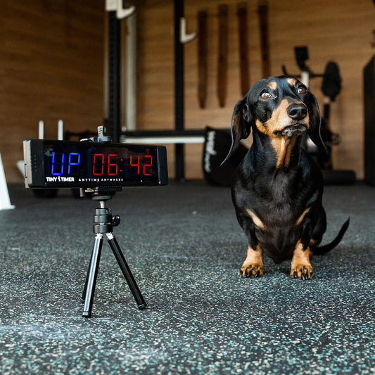 Tiny Timer